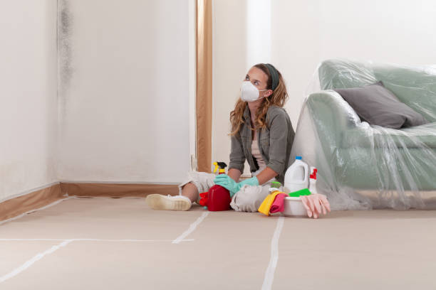 Reliable Mold Cleanup contractor in Durham, NC by Cheap Mold Removal